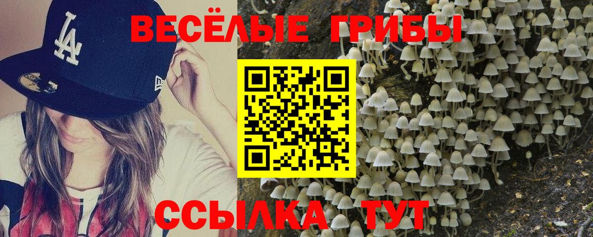Богородск  Псилоцибиновые грибы Psilocybine cubensis  Вход с VPN  Псилоцибиновые грибы Magic Shrooms 
