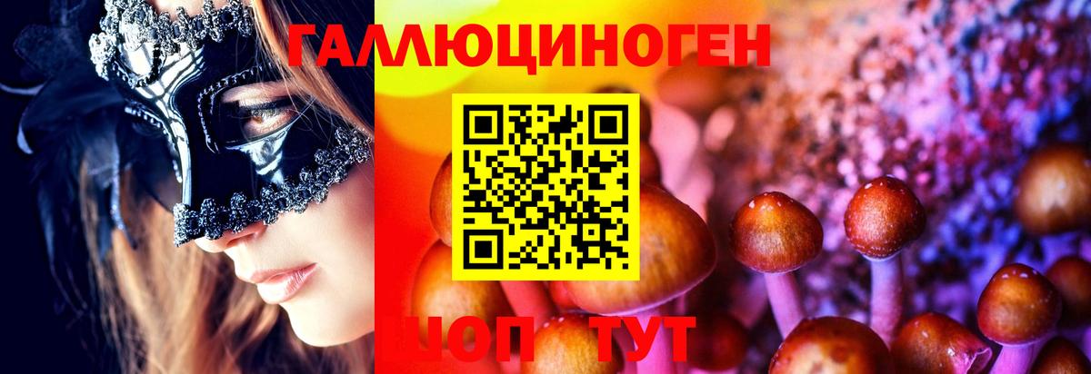 Псилоцибиновые грибы Magic Shrooms Богородск